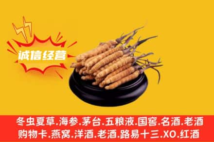 乌审旗回收冬虫夏草